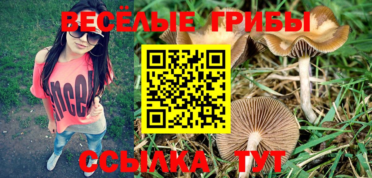 Псилоцибиновые грибы MAGIC MUSHROOMS  Вход с VPN  Тобольск 