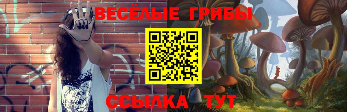 Галлюциногенные грибы прущие грибы  Тобольск 